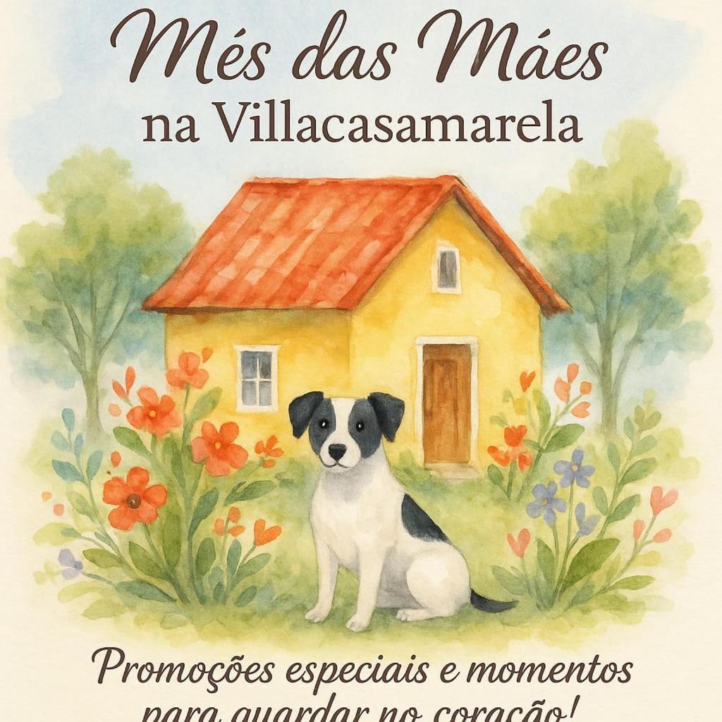Villacasamarela Mini Casinhas De Hospedes Rio Vermelho Florianópolis 외부 사진